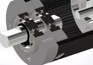 Dual Bearings Design